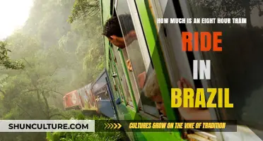 Exploring Brazil: Cost of an Eight-Hour Train Journey Revealed