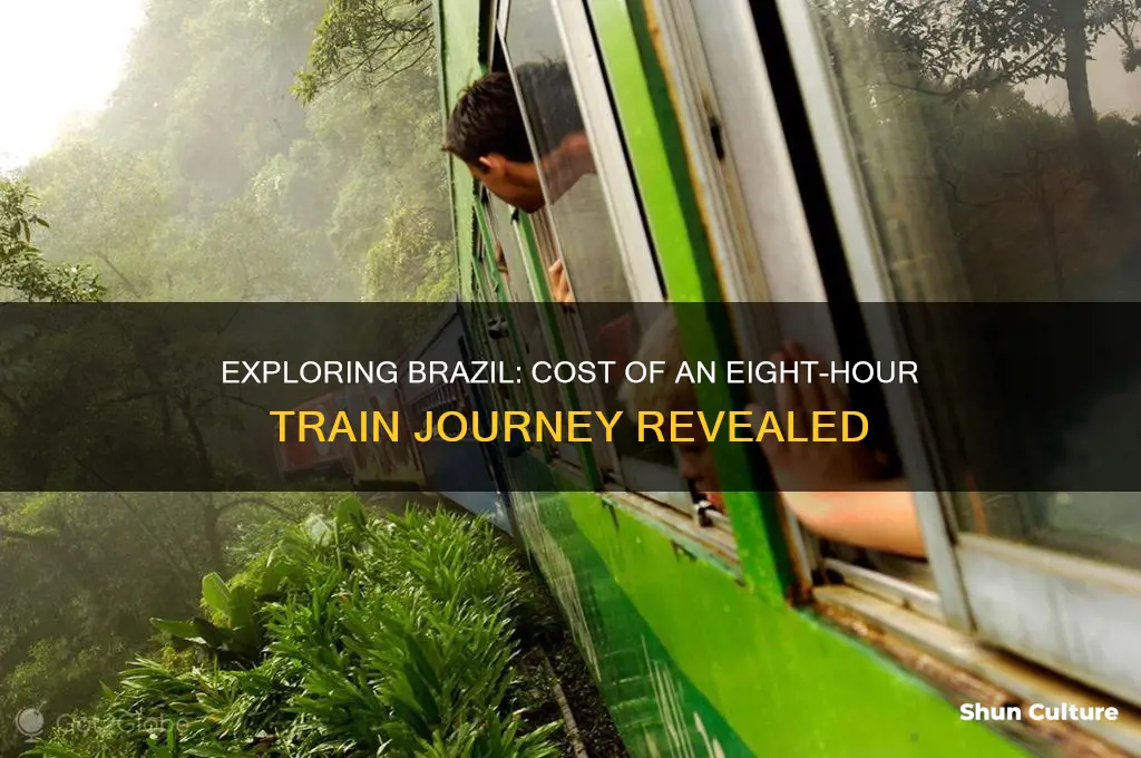 how much is an eight hour train ride in brazil