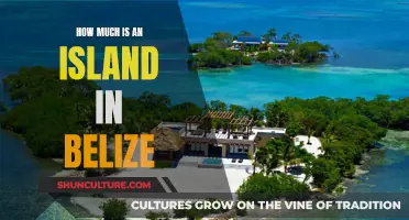 Belize Island: The Cost of Paradise