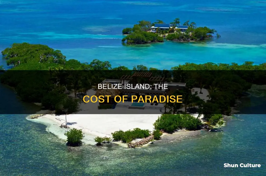 how much is an island in belize