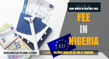 Austria Visa Fee: Nigeria's Cost Breakdown