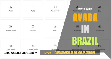 Avada Theme Pricing in Brazil: Costs and Value Explained