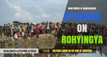 Bangladesh's Financial Commitment to the Rohingya Crisis: A Deep Dive