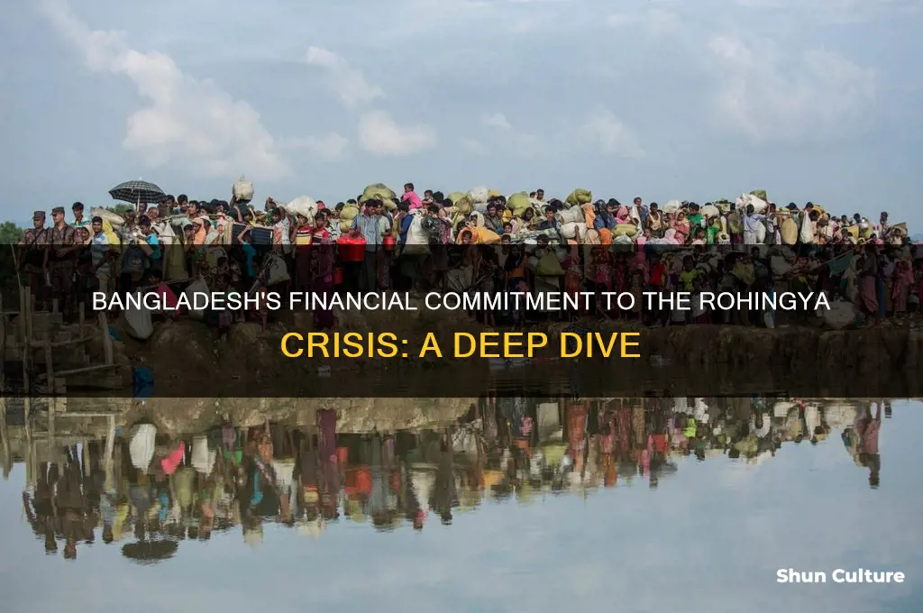 how much is bangladesh spending on rohyingya