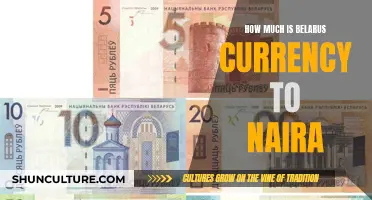 Belarus Currency Exchange to Naira: How Much?