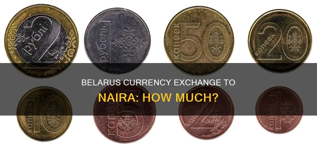 how much is belarus currency to naira