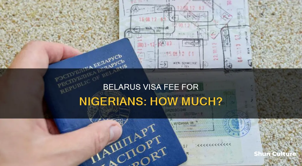 how much is belarus visa fee in nigeria