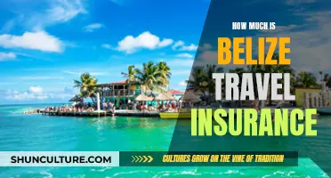 Belize Travel Insurance: Understanding the Costs and Coverage