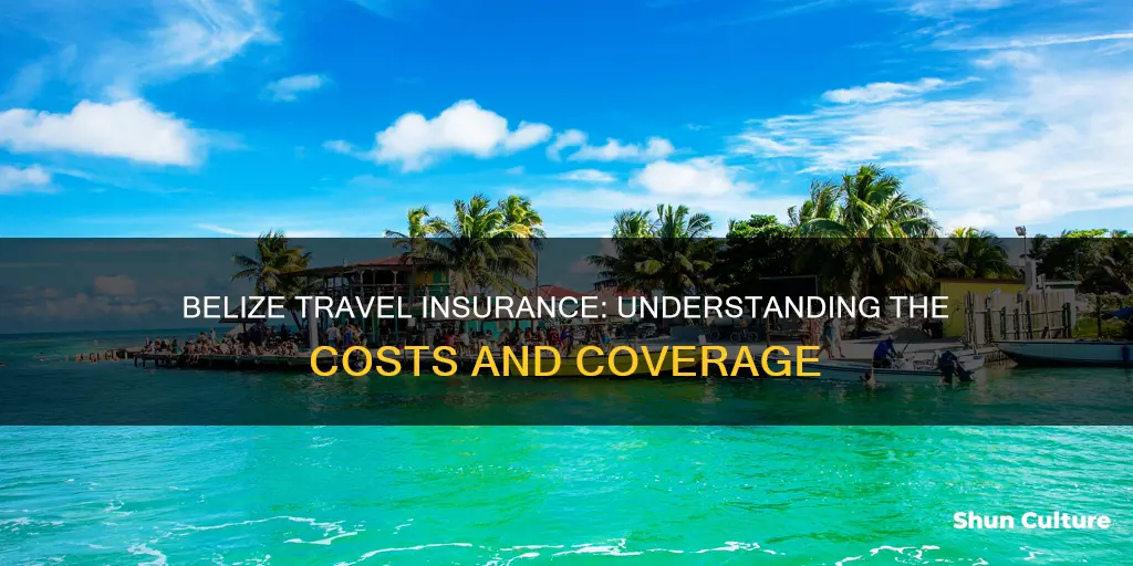 how much is belize travel insurance