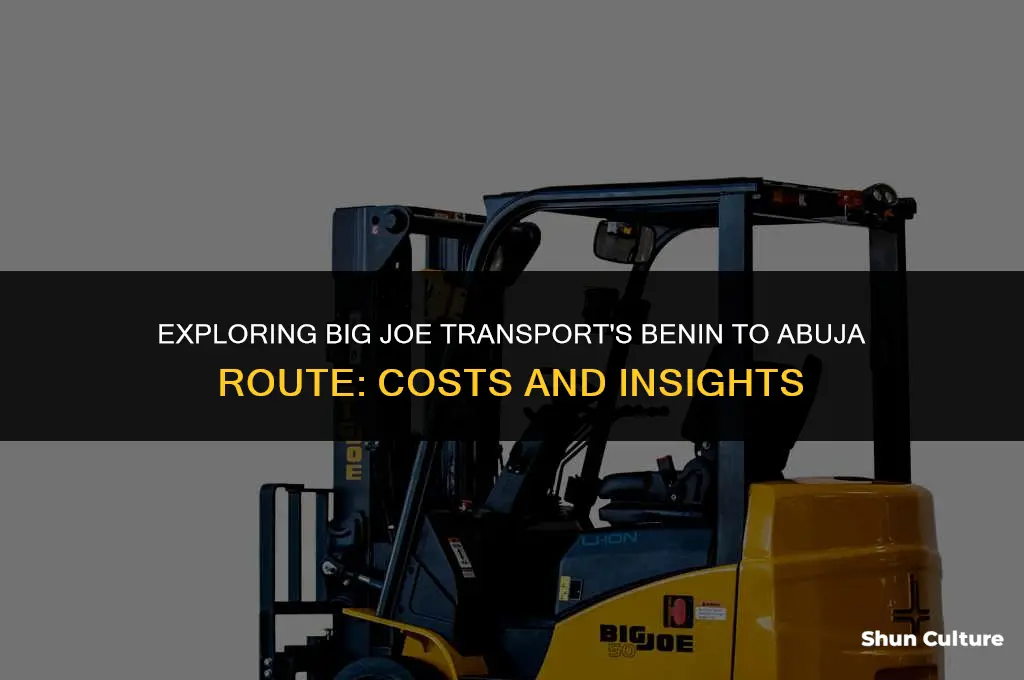 how much is big joe transport from benin to abuja