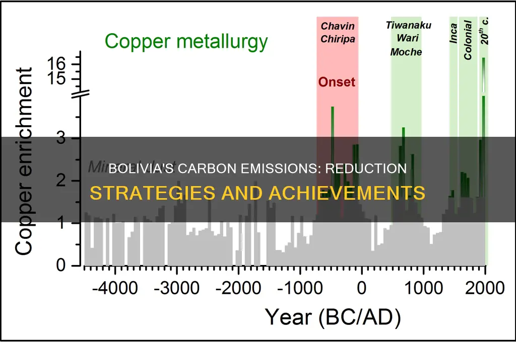 how much is bolivia reducing its carbon emissions