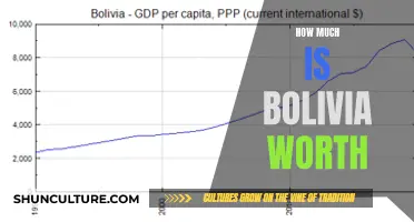 Exploring Bolivia's Surprising Net Worth