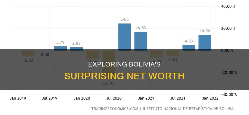 how much is bolivia worth