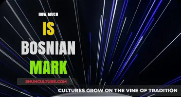 Understanding the Value of the Bosnian Mark in Today's Economy