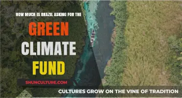 Brazil's Green Climate Fund Request: How Much Is Needed?