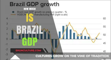 Brazil's GDP: Unveiling the Economic Powerhouse's Financial Strength