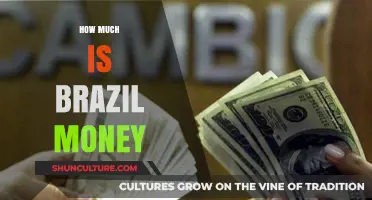 Understanding Brazil's Currency: Value, Exchange Rates, and Spending Tips