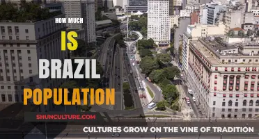 Brazil's Population: Current Figures, Growth Trends, and Future Projections