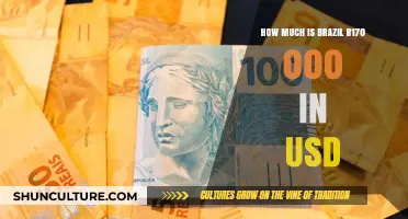 Brazil R$170,000 to USD: Current Exchange Rate Conversion