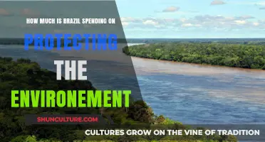 Brazil's Environmental Investment: How Much is Being Spent on Conservation?