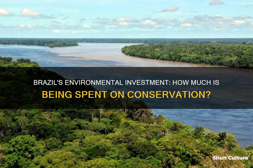 how much is brazil spending on protecting the environement