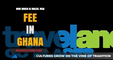 Brazil Visa Fee in Ghana: Cost and Application Guide