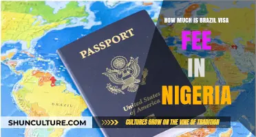 Brazil Visa Fee in Nigeria: Cost and Application Guide