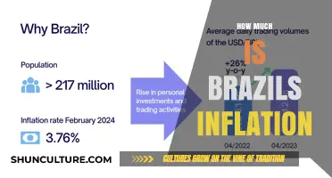 Brazil's Inflation Rate: Current Trends and Economic Impact Explained