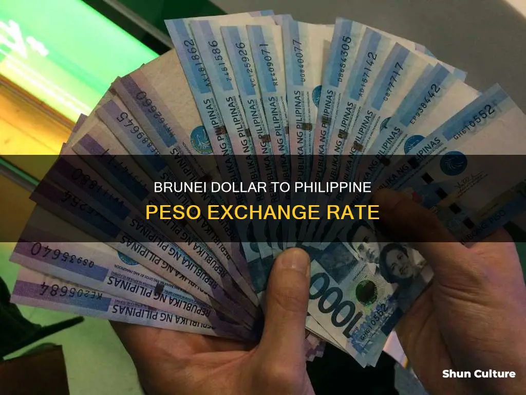 how much is brunei dollar to philippine peso