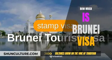 Brunei Visa Costs: A Comprehensive Guide