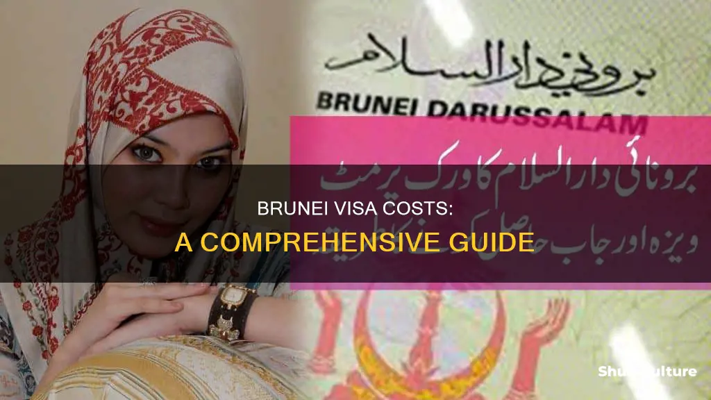 how much is brunei visa