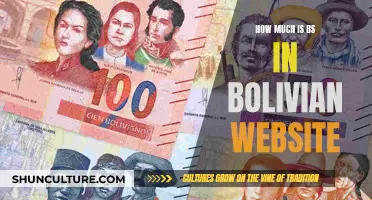 Exploring the Value of Bs in Bolivia's Economy