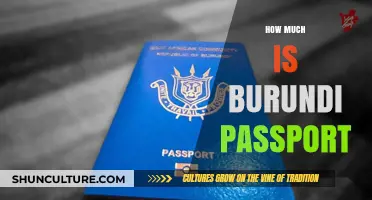 Unlocking Travel: The Cost of a Burundi Passport Revealed