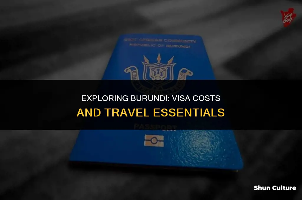 how much is burundi visa