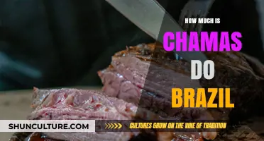 Chamas do Brazil Cost: Exploring the Price of a Brazilian Steakhouse Experience