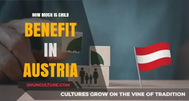 A Comprehensive Guide to Child Benefits in Austria