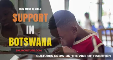 Understanding Child Support Payments in Botswana: Costs and Legal Guidelines