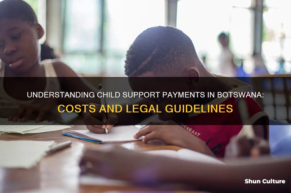 how much is child support in botswana