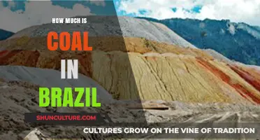 Brazil's Coal Prices: Current Costs and Market Trends Explained