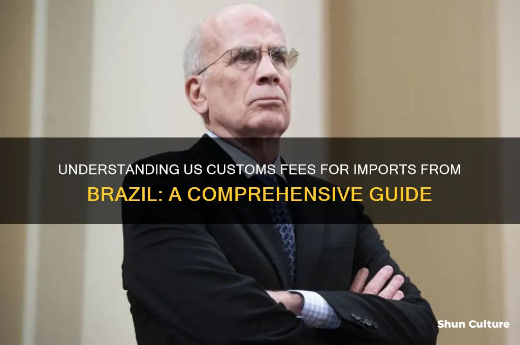 how much is customs in us from brazil