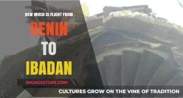 Exploring Travel Costs: Benin to Ibadan Flight Price Guide