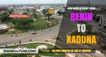 Exploring Air Travel Costs: Benin to Kaduna Flight Price Guide