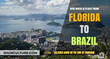 Florida to Brazil Flights: Cost, Tips, and Best Deals