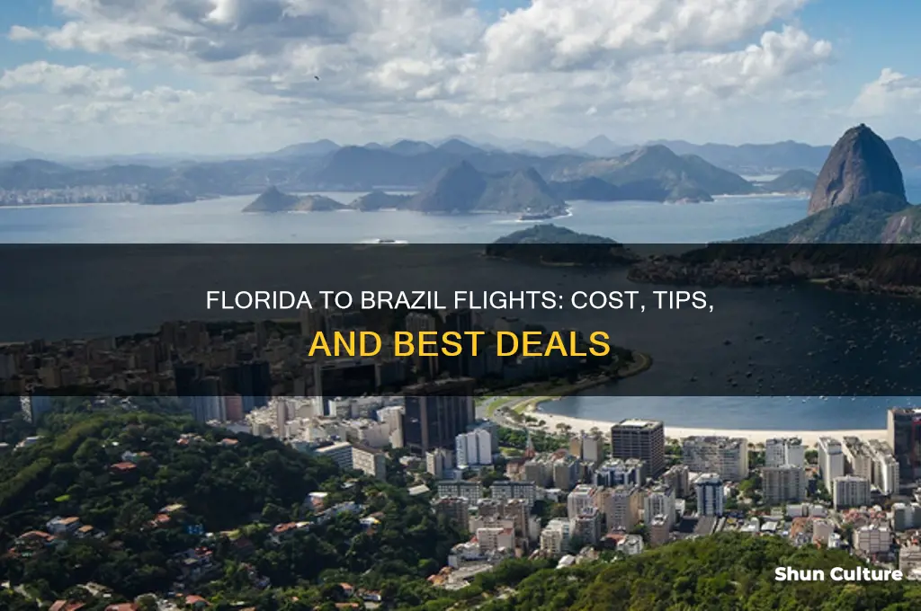 how much is flight from florida to brazil