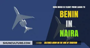 Lagos to Benin Flight Costs: A Comprehensive Guide in Naira