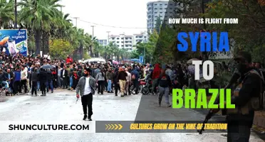 Syria to Brazil Flight Costs: Budgeting Your International Journey