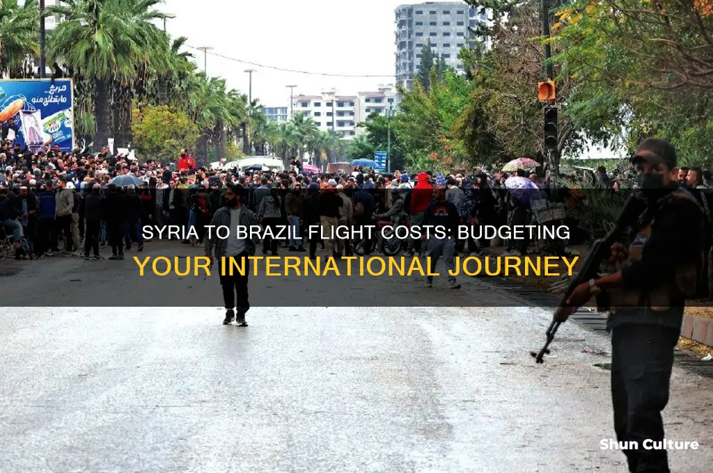 how much is flight from syria to brazil