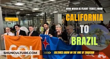 California to Brazil Flight Costs: What to Expect for Your Trip