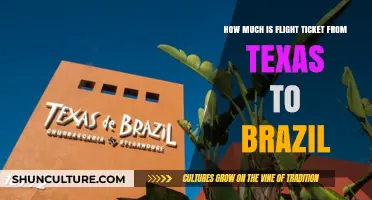 Texas to Brazil Flight Costs: What to Expect When Booking