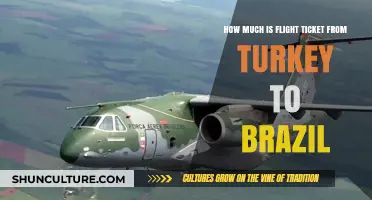 Turkey to Brazil Flight Costs: A Comprehensive Price Guide